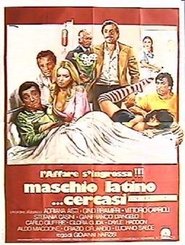 Affiche de Film Maschio Latino Cercasi