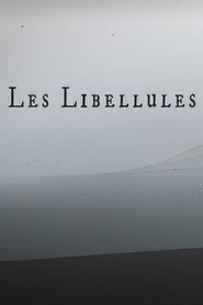 The Dragonflies
