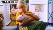 Rennschwein Rudi RÃ¼ssel