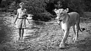 Elsa: The Lioness That Changed The World