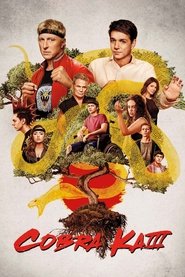 Image Cobra Kai