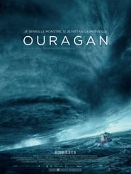 Ouragan, l'odyssée d'un vent Ver Descargar Películas en Streaming Gratis en Español