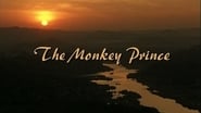 The Monkey Prince