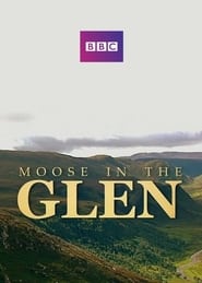 Moose in the Glen