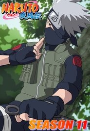 Naruto Shippuden 11º Temporada (2007) Blu-Ray 720p Download Torrent Legendado