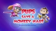 Pups Save a Monkey-naut