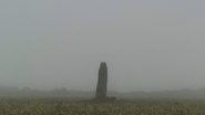 A Year in a Field