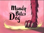 Mandy Bites Dog