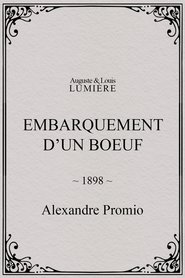 Embarquement d’un boeuf