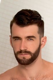 Woody Fox Woody Fox