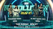 AEW Revolution: The Buy In