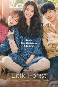 Watch Little Forest (2018)