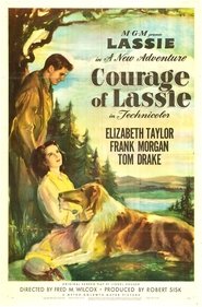 Courage of Lassie (1946) Courage of Lassie (1946)