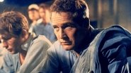 Paul Newman, l'intranquille