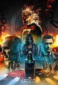 Imagen Marvel’s Agentes de S.H.I.E.L.D. (2013)
