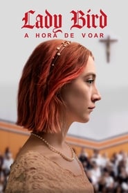 Image Lady Bird - A Hora de Voar