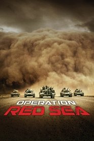 Operation Red Sea