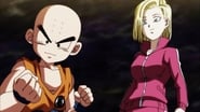 Show Them! Krillin's Underlying Strength!