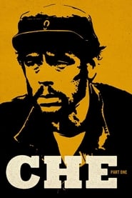 Che: Part One (2008)