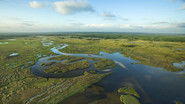 National Parks Exploration Series: The Everglades