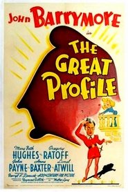 The Great Profile Watch and get Download The Great Profile in HD Streaming