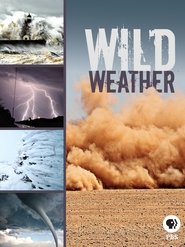 Wild Weather (1970) Wild Weather (1970)