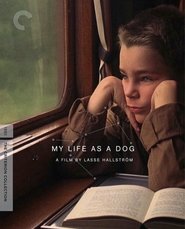 My Life as a Dog HD Online Film Schauen