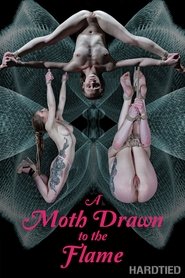 A Moth drawn to the Flame