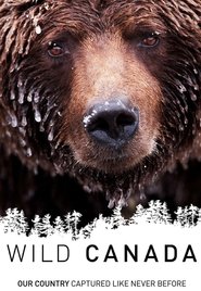 Wild Canada Wild Canada