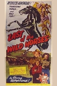 Last of the Wild Horses Ver Descargar Películas en Streaming Gratis en Español