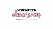 SEVENTEEN in CARAT LAND