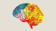 Persona: The Dark Truth Behind Personality Tests