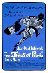 bilder von The Thief of Paris