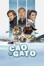 Image Cão e Gato