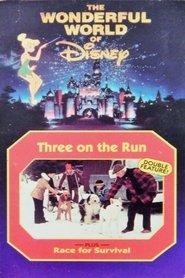 Race for Survival (1978) Race for Survival (1978)