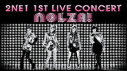 2NE1: 1st Live Concert NOLZA