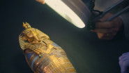 The True Story of King Tut's Tomb