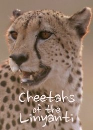 Cheetahs of the Linyanti (2022) Cheetahs of the Linyanti (2022)