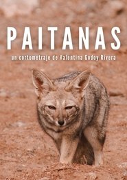 Paitanas (1970) Paitanas (1970)