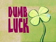 Dumb Luck