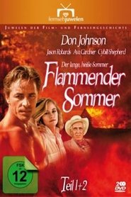 The Long Hot Summer The Long Hot Summer