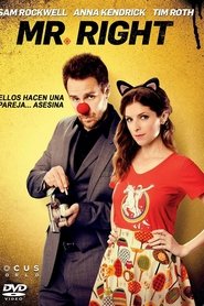Poster de Mr. Right (2016)