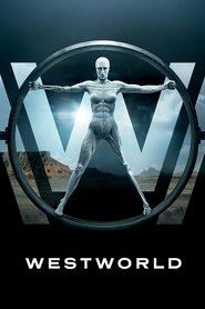 Baixar Serie Westworld 1ª Temporada Dublado Baixar Serie Westworld 1ª Temporada Dublado via Torrent