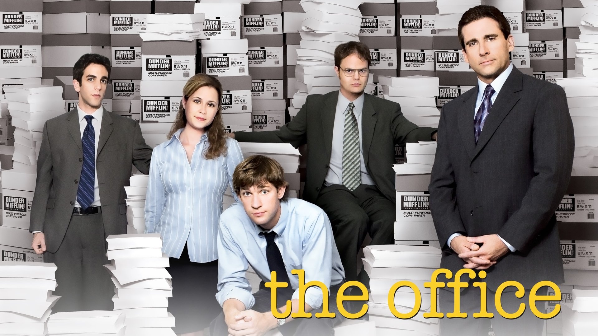 The Office Season 1 Episode 2 : Diversity Day