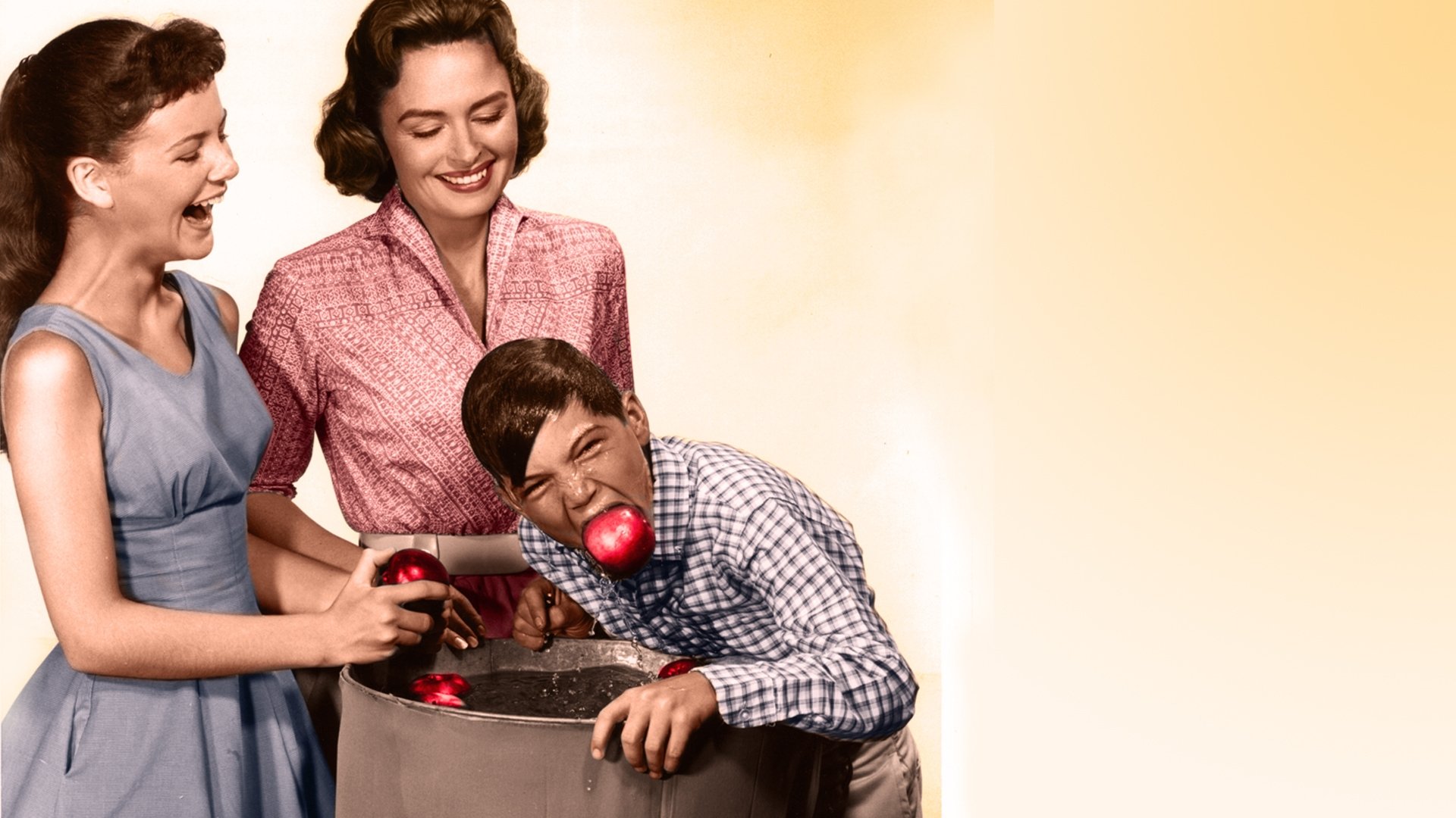 The Donna Reed Show Season 5