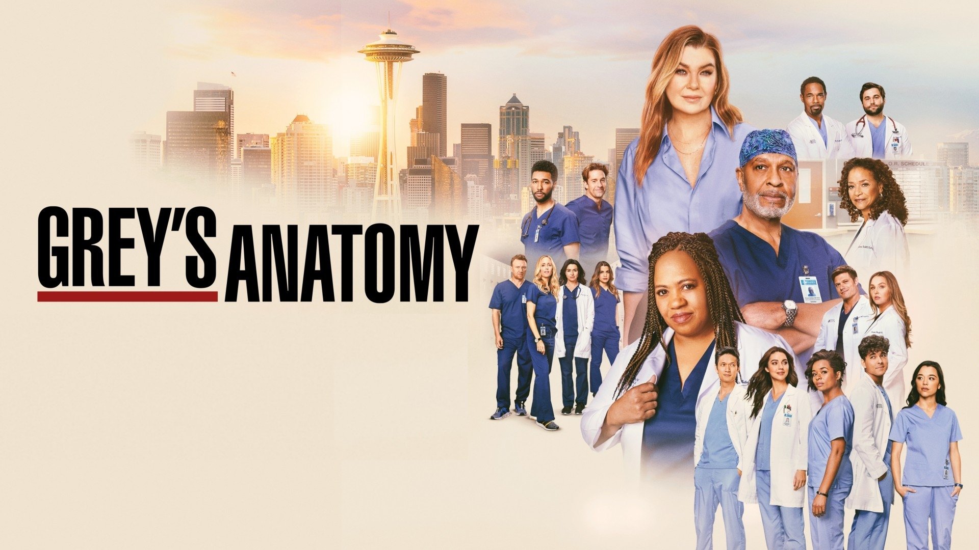 Grey's Anatomy Season 13