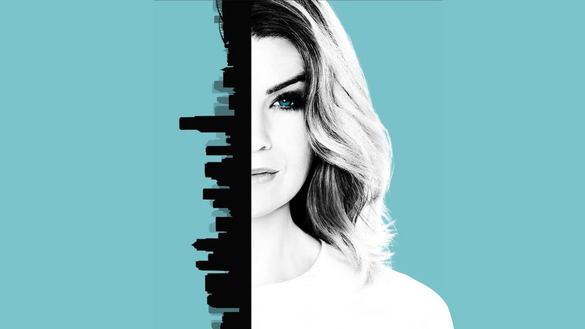 Grey's Anatomy Season 6 Episode 20 : Hook, Line and Sinner