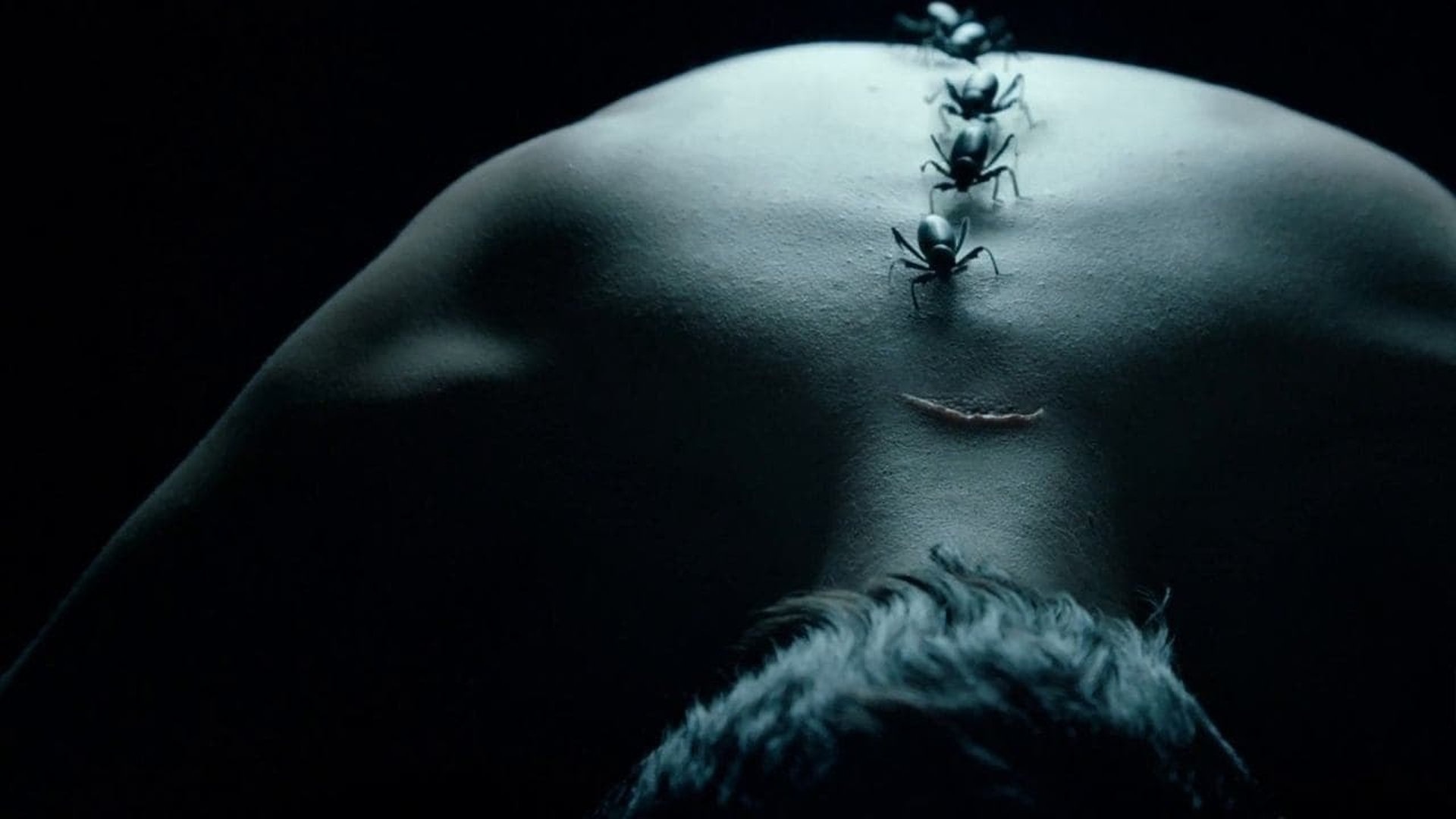 American Horror Story Season 3 Episode 12 : Go to Hell