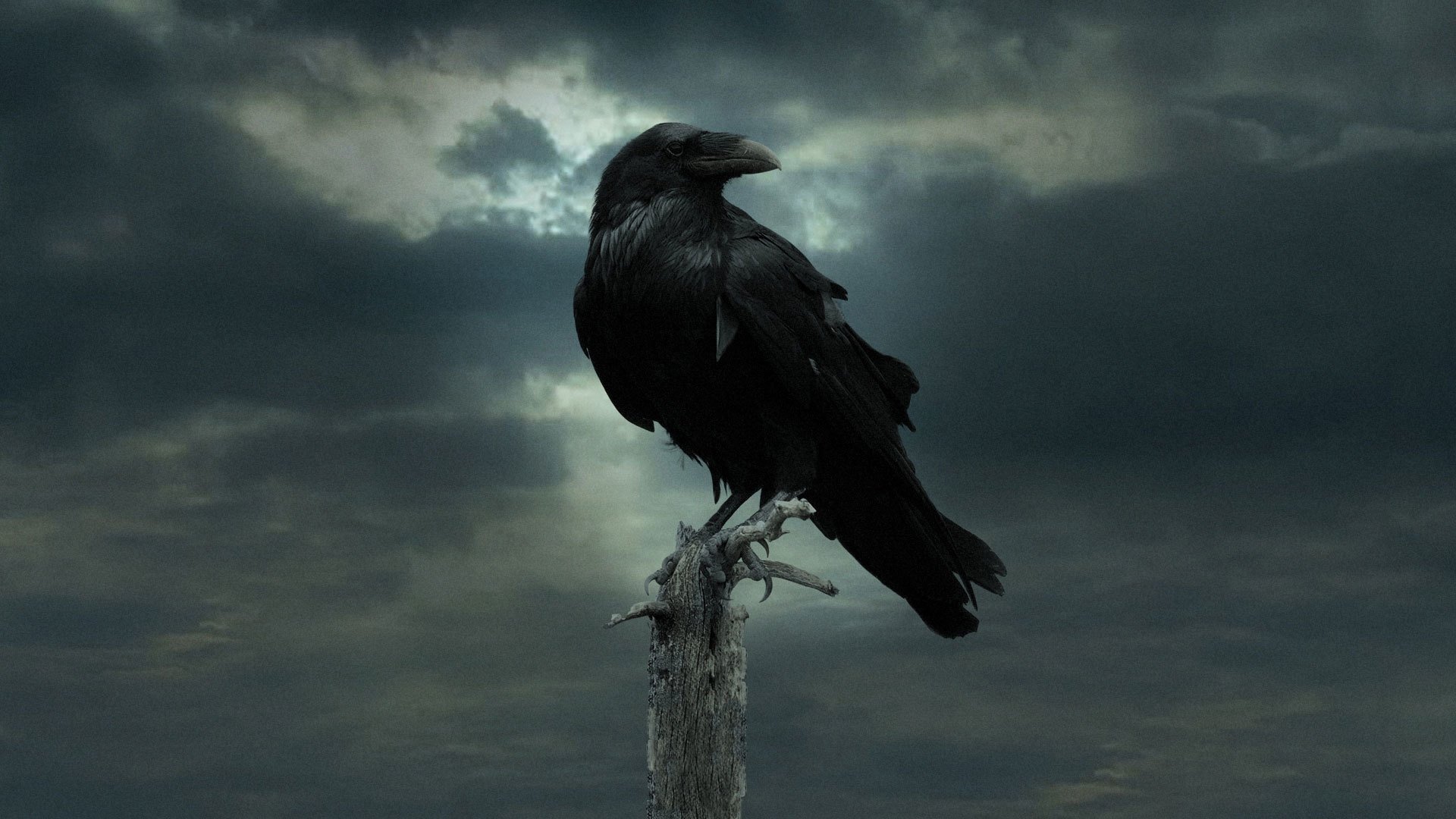 Game of Thrones Season 4 Episode 10 : The Children