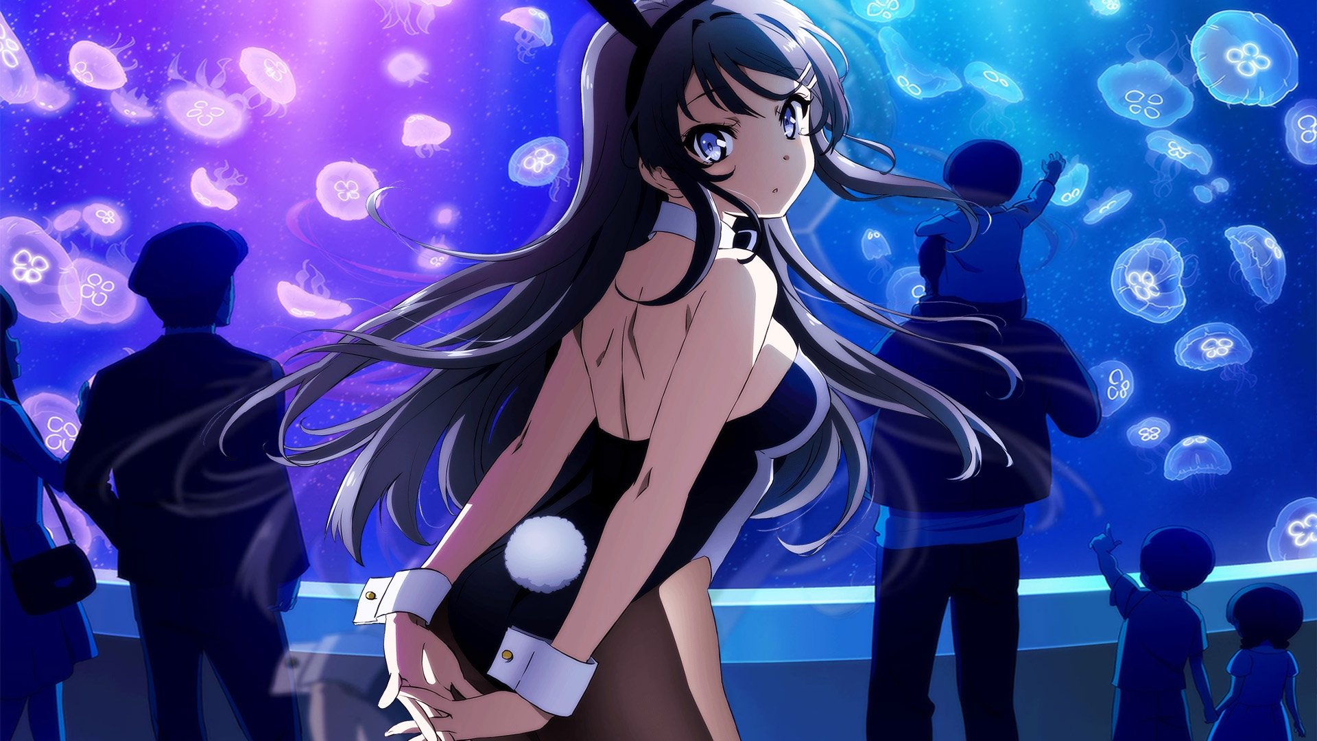 Rascal Does Not Dream of Bunny Girl Senpai Season 2 Episode 10 : Episode 10